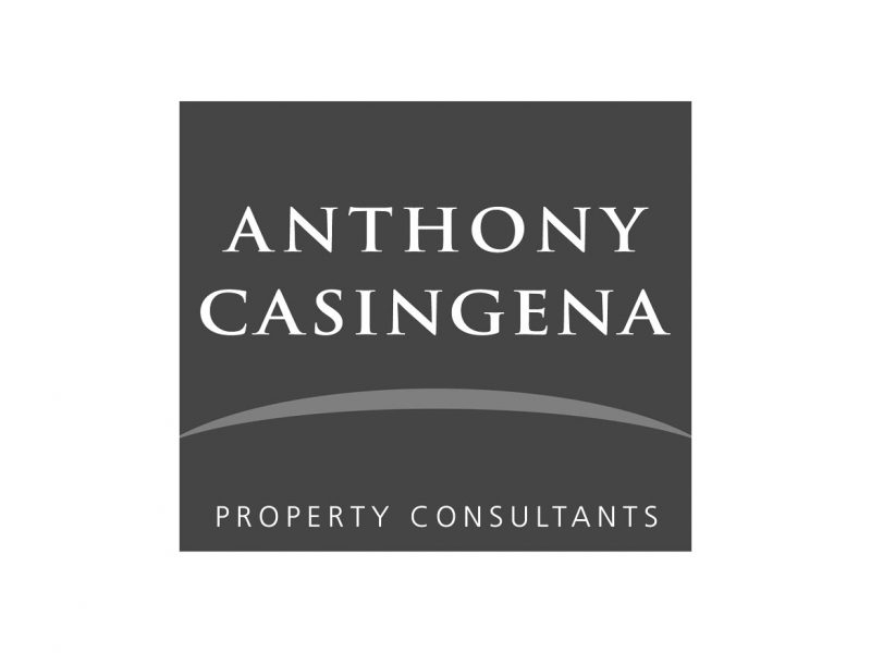 Anthony Casingena Logo Design