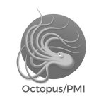 Octopus PMI Logo Design