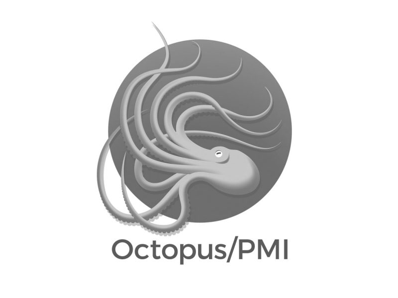 Octopus PMI Logo Design