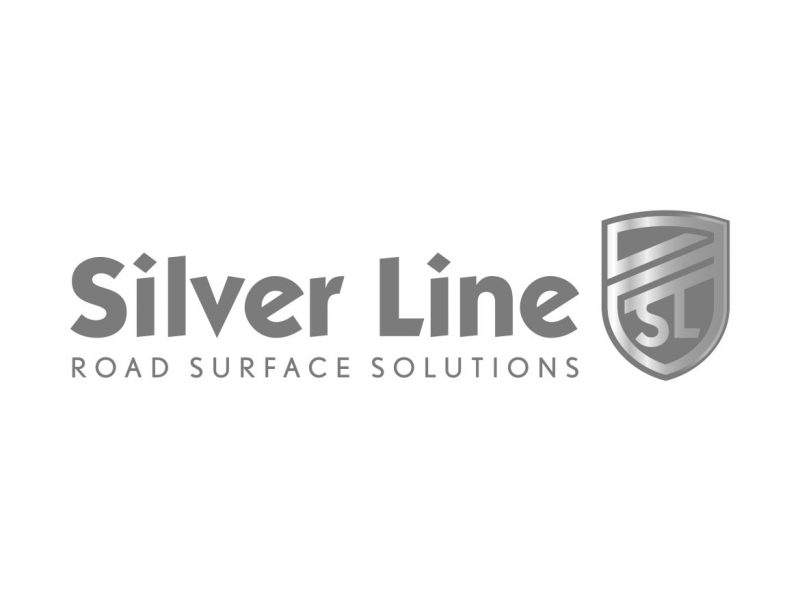 Silver Line Logo Design