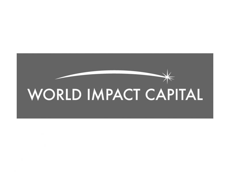 World Impact Capital Logo Design